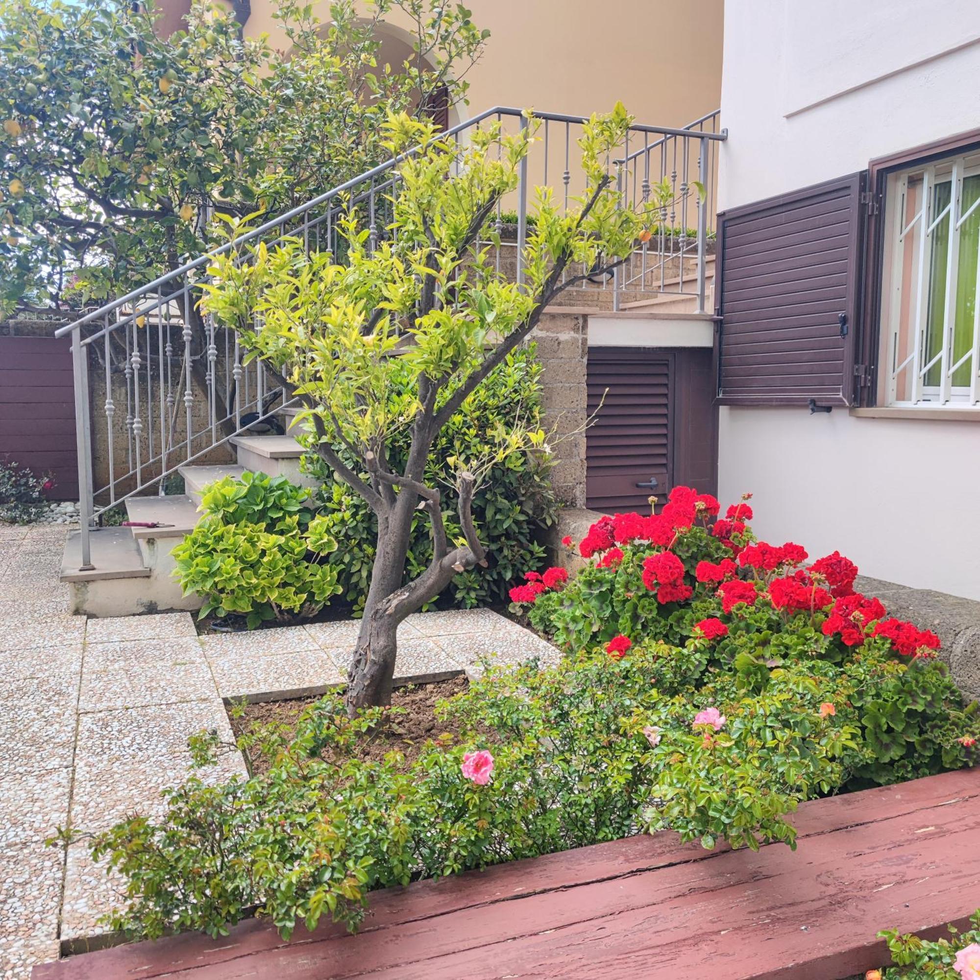 Appartamento Galgani San Vincenzo Exteriér fotografie